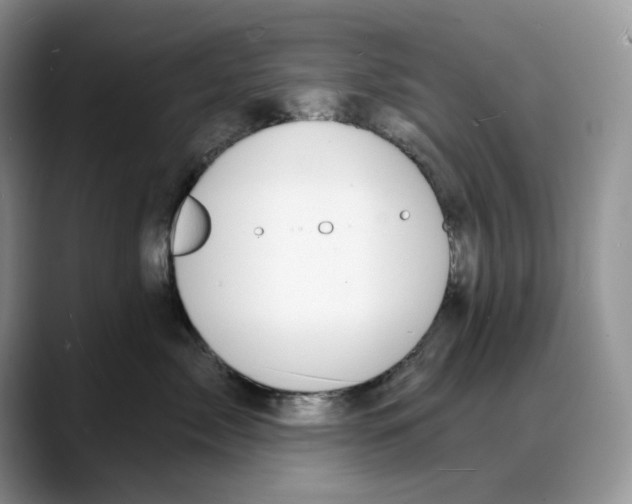 X0000088020717200706081441