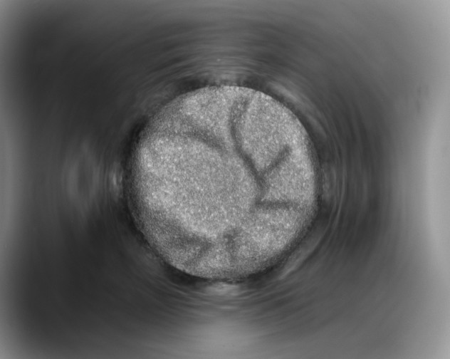 X0000088020718200706081441