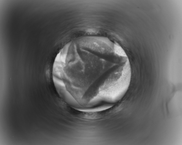 X0000088020720200706081441