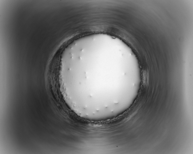 X0000088020723200706081441