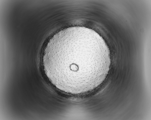 X0000088020725200706081441