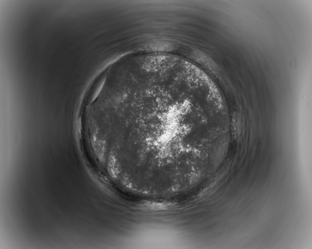 X0000088020726200706081441
