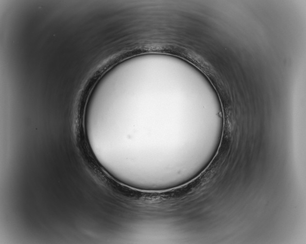 X0000088020728200706081441