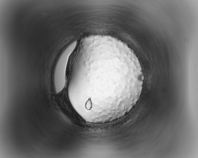 X0000088020729200706081441