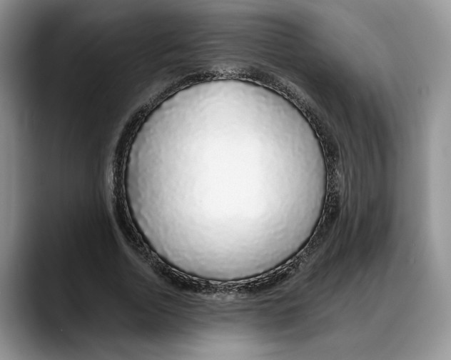 X0000088020730200706081441