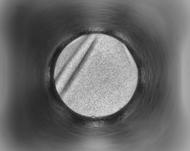 X0000088020731200706081441