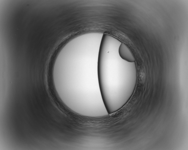 X0000088020732200706081441