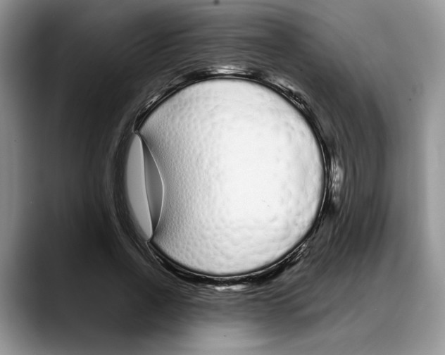X0000088020734200706081441