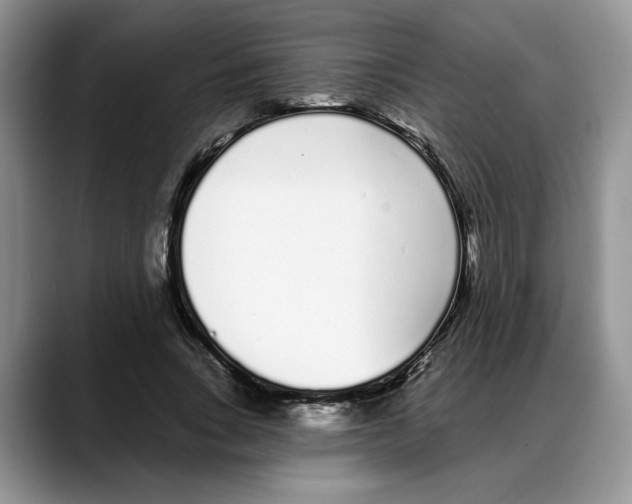 X0000088020735200706081441