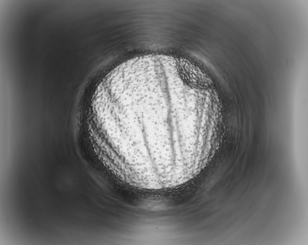 X0000088020736200706081441
