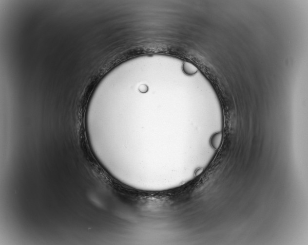 X0000088020737200706081441