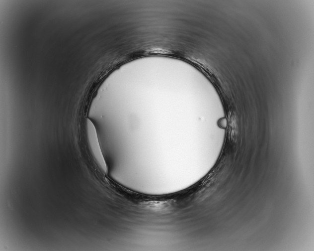 X0000088020738200706081441