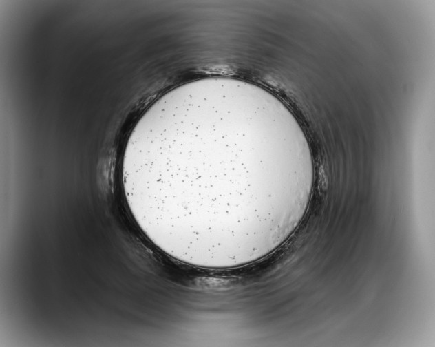 X0000088020739200706081441