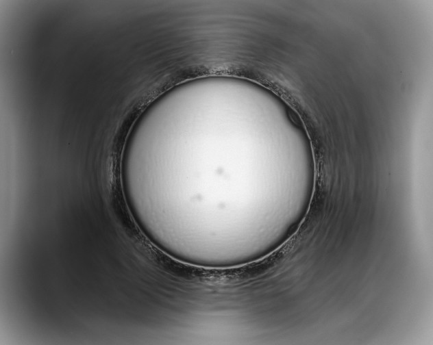 X0000088020740200706081441