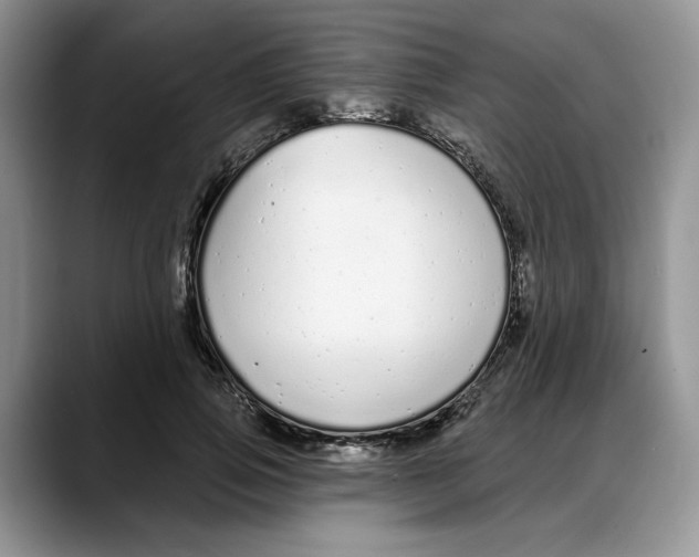 X0000088020741200706081441