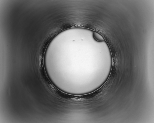 X0000088020742200706081441