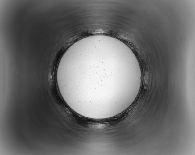 X0000088020743200706081441