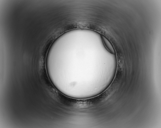 X0000088020744200706081441