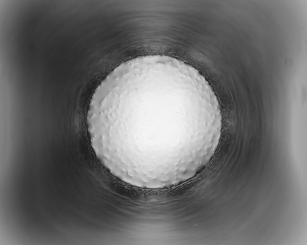 X0000088020745200706081441