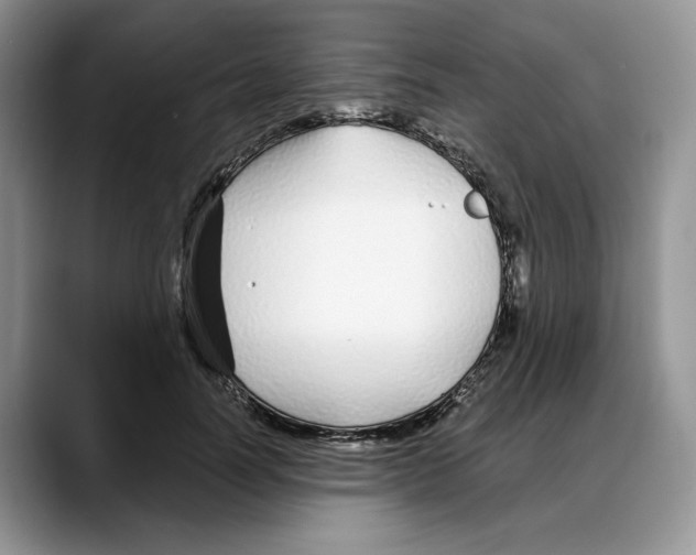 X0000088020746200706081441