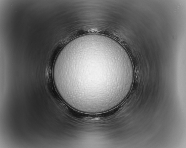 X0000088020747200706081441