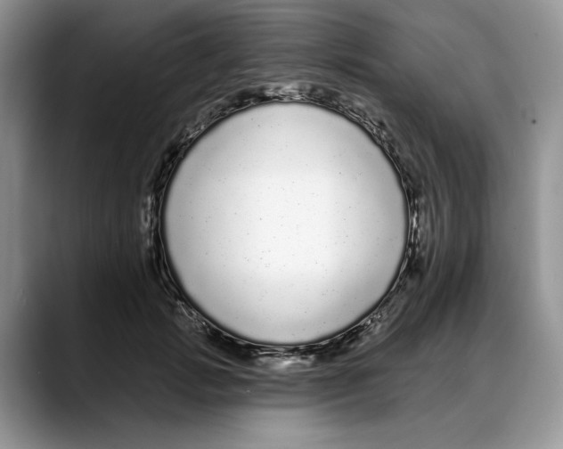 X0000088020749200706081441