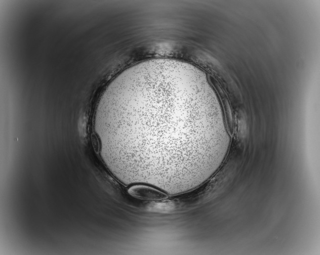 X0000088020750200706081441