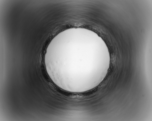 X0000088020752200706081441