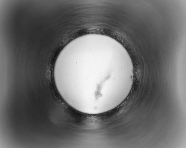 X0000088020753200706081441