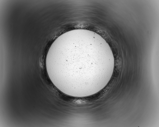 X0000088020755200706081441