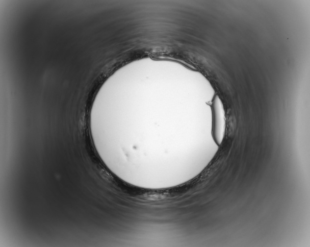 X0000088020756200706081441
