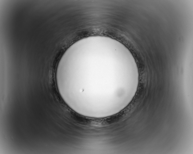 X0000088020757200706081441