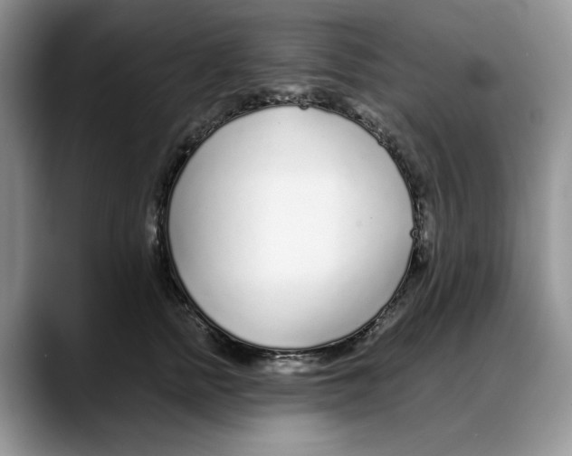 X0000088020758200706081441