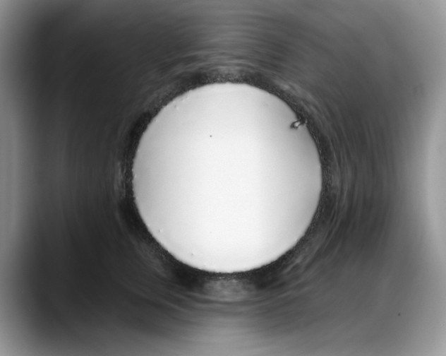 X0000088020759200706081441