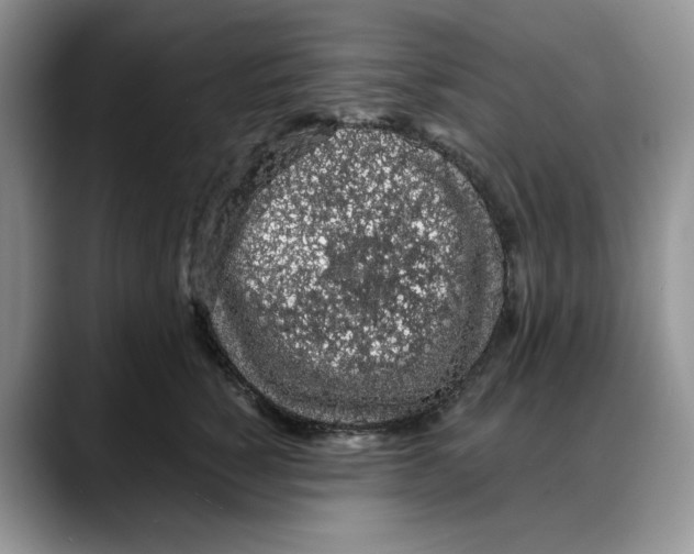 X0000088020760200706081441