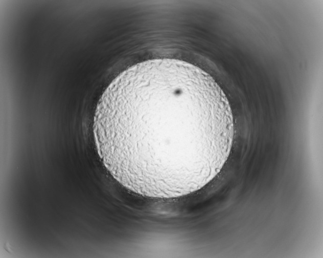 X0000088020761200706081441