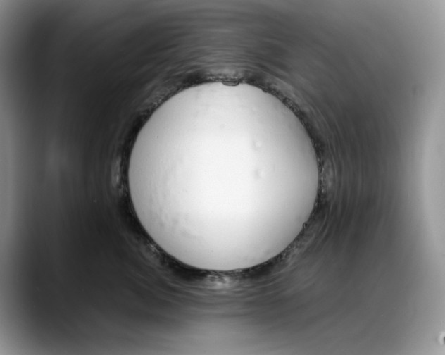 X0000088020764200706081441