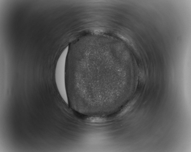 X0000088020766200706081441