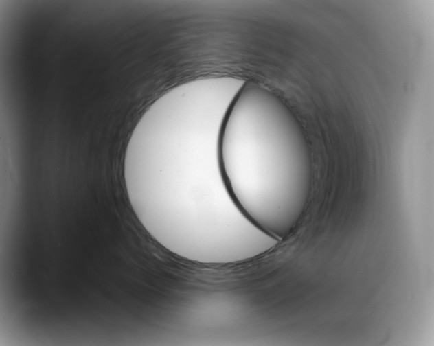 X0000088020768200706081441