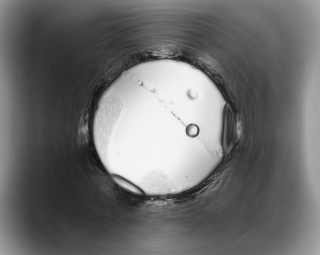 X0000088020771200706081440