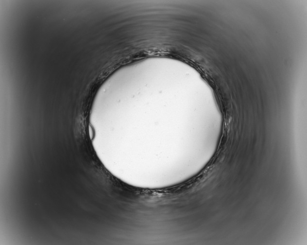 X0000088020772200706081440