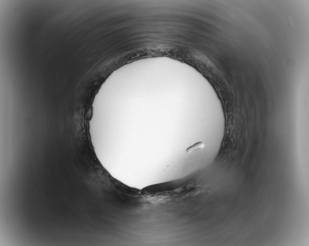 X0000088020773200706081440