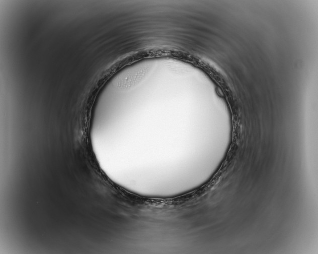 X0000088020775200706081440