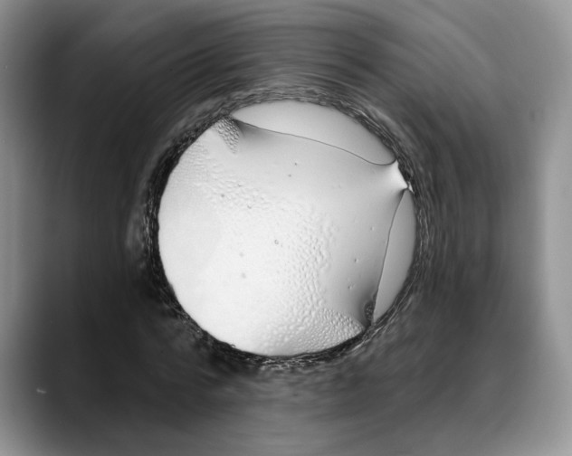 X0000088020776200706081440