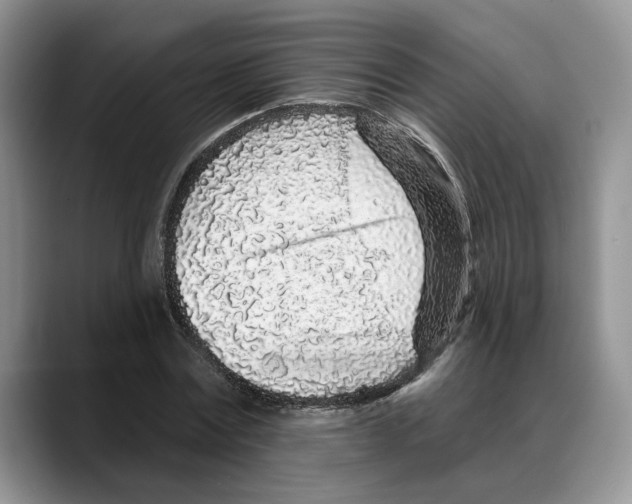 X0000088020779200706081440