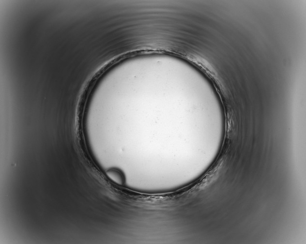 X0000088020780200706081440