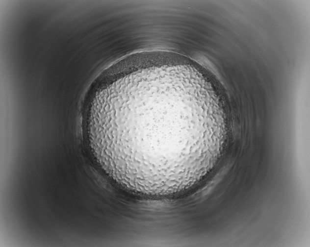 X0000088020781200706081440