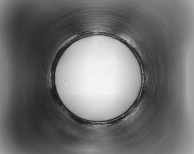 X0000088020782200706081440