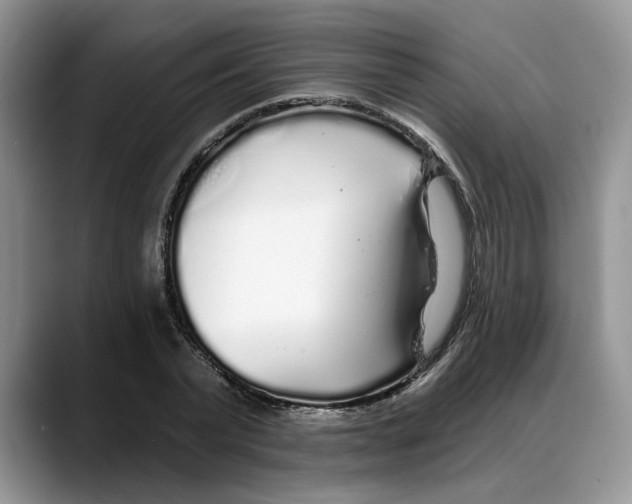 X0000088020783200706081440
