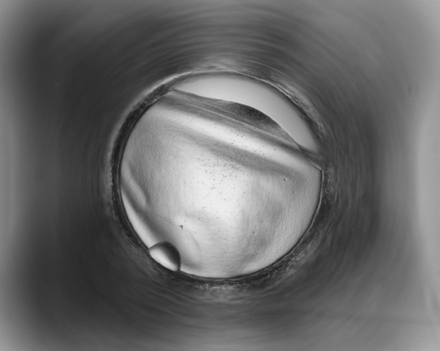X0000088020784200706081440